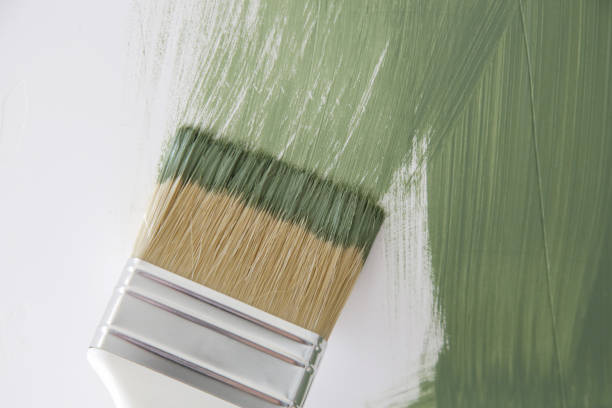 Best Mold Odor Removal Services  in Charlotte Hall, MD