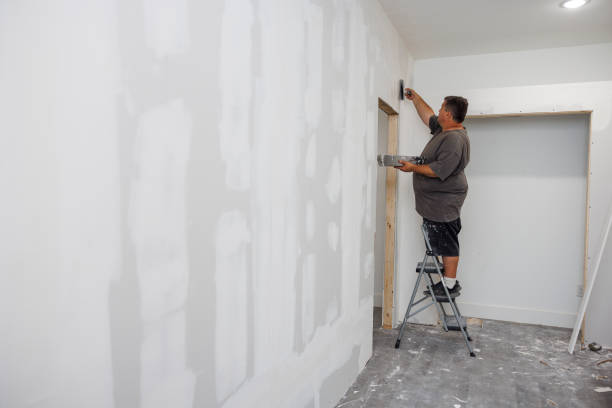  Charlotte Hall, MD Mold Removal Pros